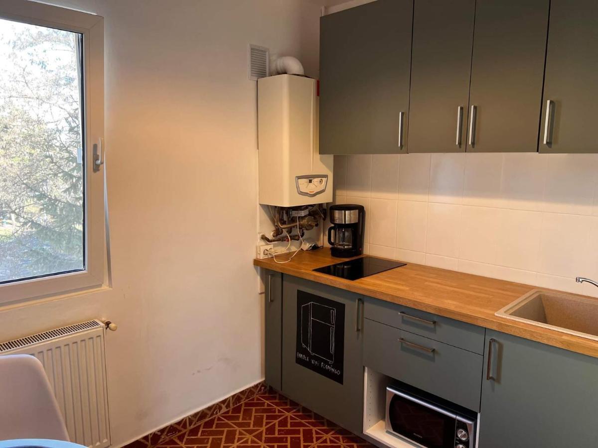 Ferienwohnung Garsoniera Flamingo Garii 4 Brașov Exterior foto