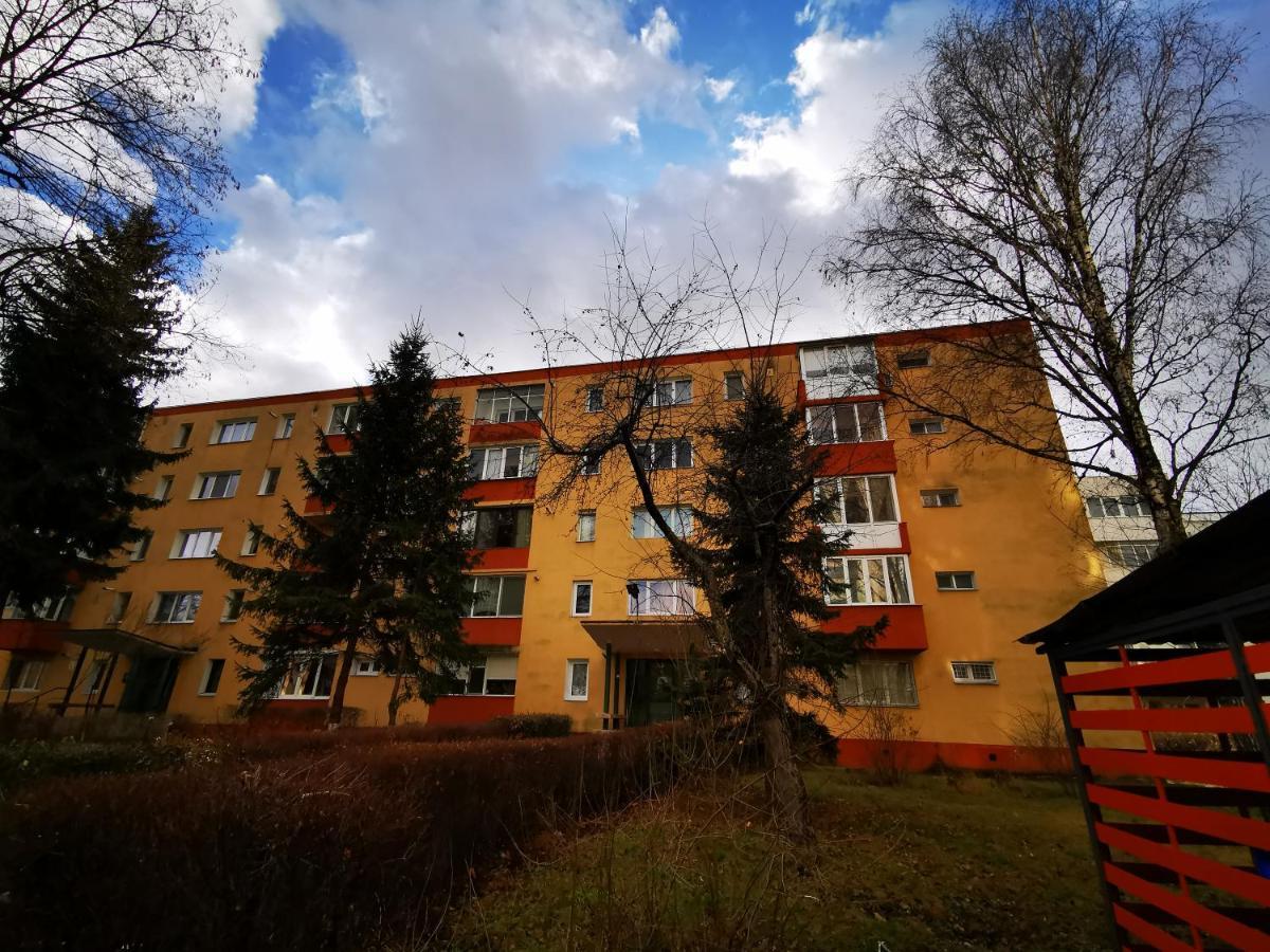 Ferienwohnung Garsoniera Flamingo Garii 4 Brașov Exterior foto